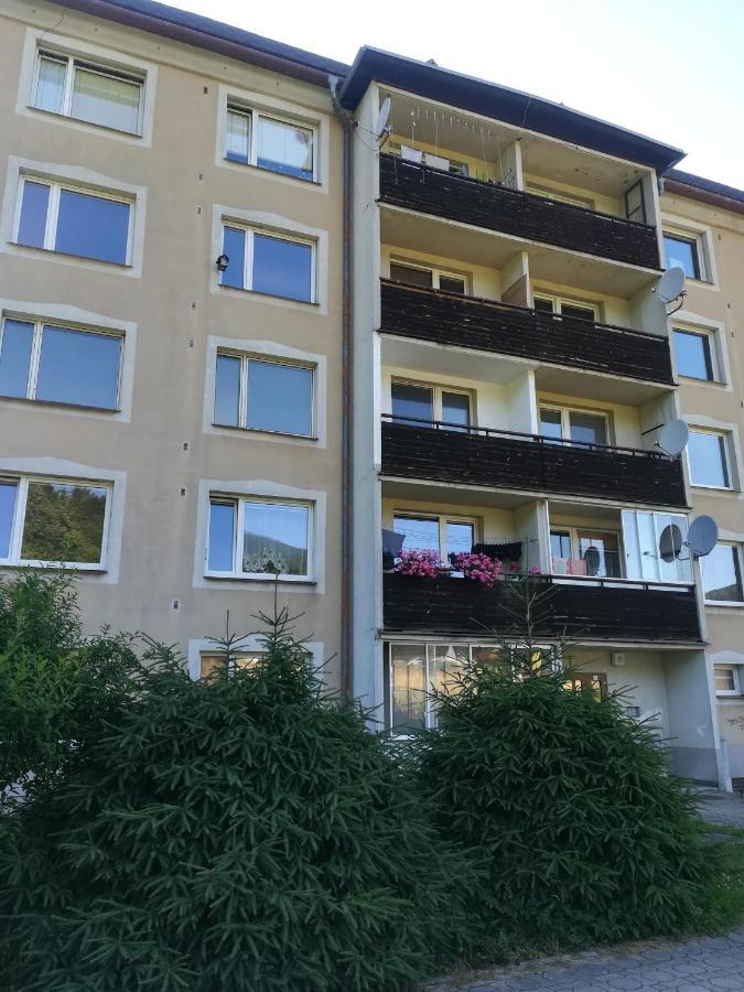 Апартаменти Apartman 21 Лоучна-над-Десноу Екстер'єр фото